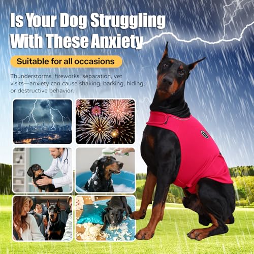 Dog Anxiety Vest (XL-Chest(22"-34.6") / Rose)
