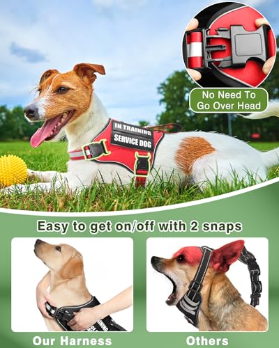 Service Dog Vest Harness and Leash Set+10 Patches Red XS (Extra-Small / Red)