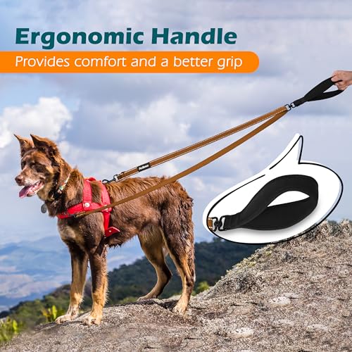 Two Point Control Dog Leash (Brown)