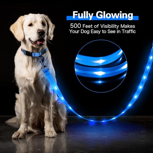 Light Up Dog Leash (Blue)