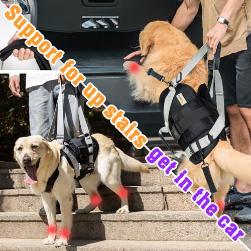Dog Lift Harness for Large Dogs (Black / Large)