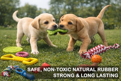 Chew Toy Natural Rubber chew Toy for Interactive Play Toy Ball Rope Rubber Value Set for Small to Medium Breed Dog mutt Puppy (Multicolour)