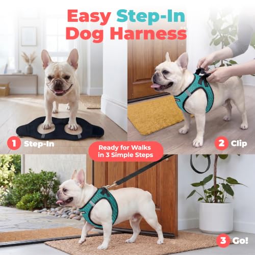 Voyager Step in Air Dog Vest Harness (Turquoise 2-Tone / XS (Chest: 13 - 14.5"))