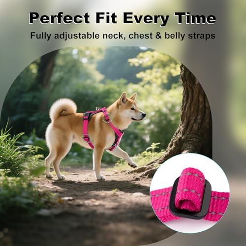 No Pull Dog Harness with Leather Accents (L / Hot Pink)