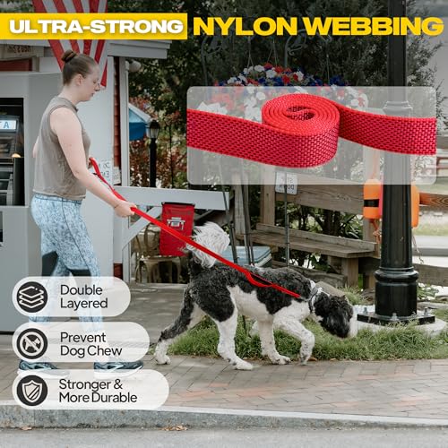 10 FT Heavy Duty Dog Leash (10 Feet (Pack of 1) / Red)