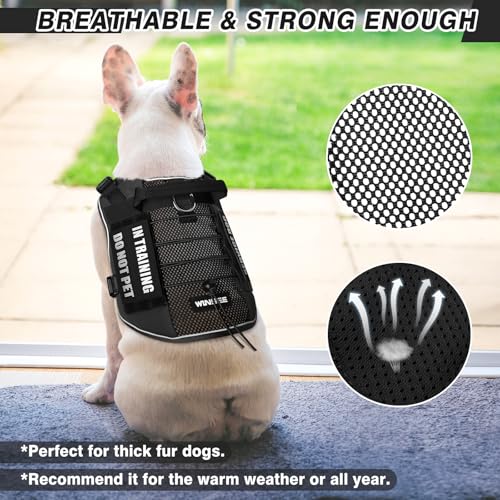 Service Dog in Training Mesh Harness with 10 Removale Pet Patches (Medium / Black)