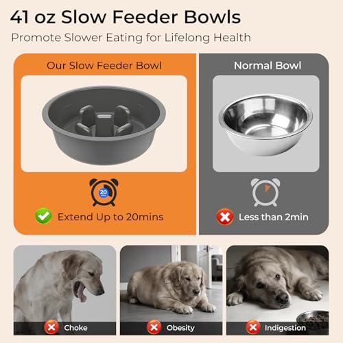 Mess Proof Elevated Dog Bowls 4 Height Adjustable Raised Stand (Grey / Large)