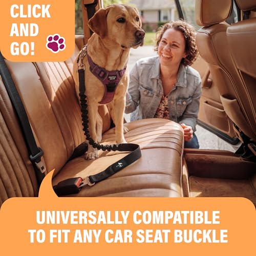 Dog Seatbelt Adjustable Safety Dog Seat Car Harness (1 Pack / Black)