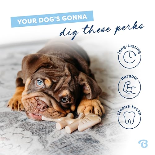 Puppy Fishbone Dog Chew Toys (Puppy (2-Pack))
