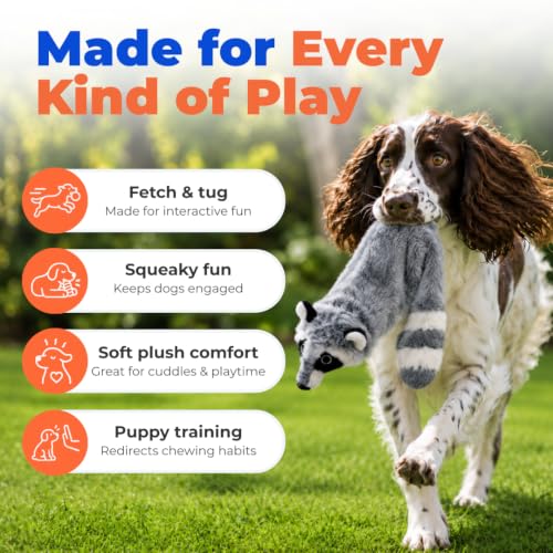 2-in-1 Stuffless Squeaky Dog Toy - Raccoon, Medium (Grey/Raccoon / Medium)