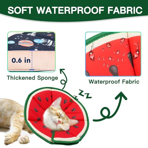 Cat Cone Collar Soft (Watermelon / Small)
