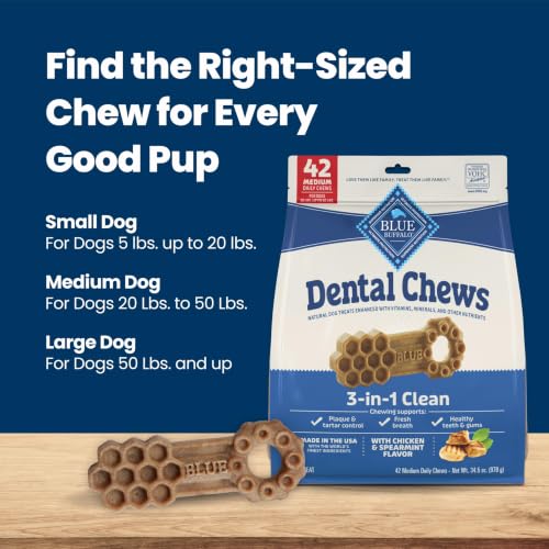 Chicken & Spearmint Medium Dental Chews (34.5 Ounce (Pack of 1))