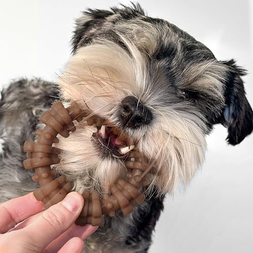 Strong Chew Ring Dog Chew Toy Made with Real Beef & Chicken (Textured Ring / Small)