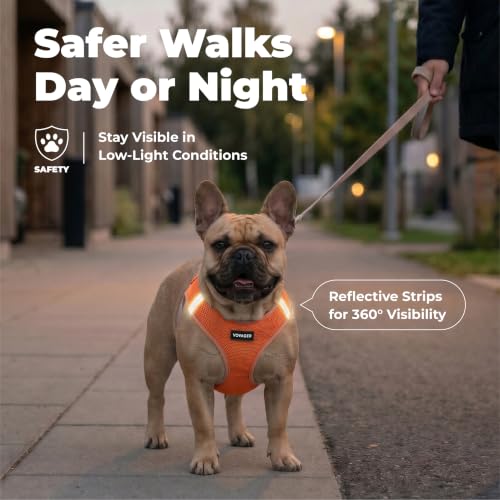 Voyager Step in Air Dog Vest Harness (Orange / L (Chest: 18 - 20.5"))