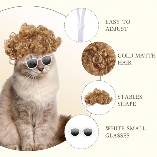 Cat Apparel Cat Gold Afro Wig with White Small Glasses Styling Cute Funny Pet Hair Accessories Decoration for Halloween (gold)