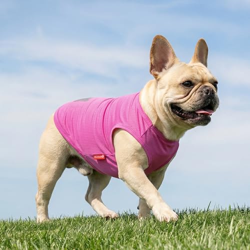2Pack Dog Shirts for Small Dogs Breathable Mesh Tank Top (Small (4-7lbs) / 6# 2Pack (Ice Pop+Pink))