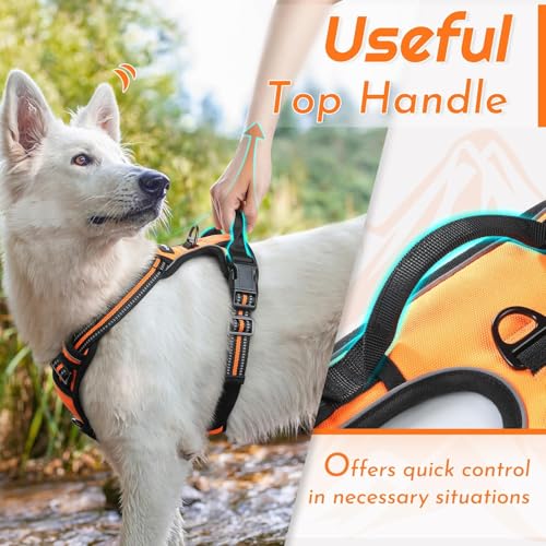 Dog Harness for Small Dogs (Small / Orange)