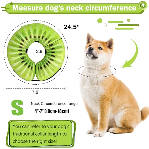 Recovery Donut Collar for Dogs & Cat (Kiwi / S（neck 4"-7"）)