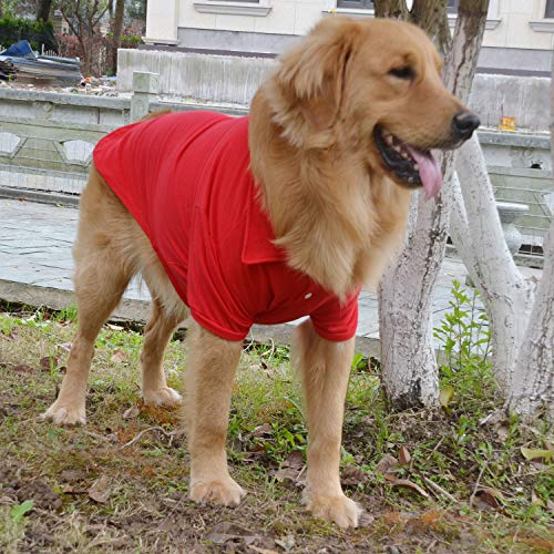 Basic Dog Polo Shirts Premium Cotton (L (-18lbs) / Red)