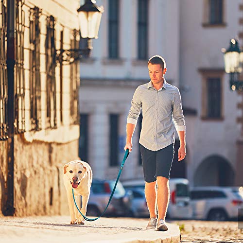 6FT Heavy Duty Dog Leash with Soft Padded Double Handle (6 FT x 1 in Wide / Blue)