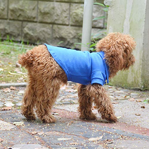 Basic Dog Polo Shirts Premium Cotton (XXL (-55lbs) / Blue)