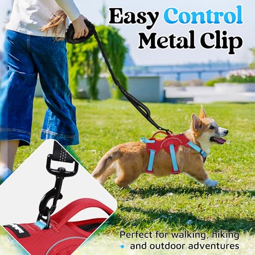 Escape Proof Dog Harness for Small (Sky Blue & Red / Small)