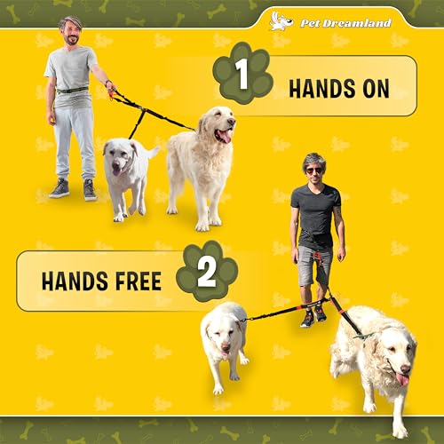 Exquisite Hands Free Double Leash for Two Dogs No Tangle. Premium Quality & Versatile Running Your Two Large Dogs. You Will Absolutely Love This Amazing Dual Dog Leash (Black & Red)