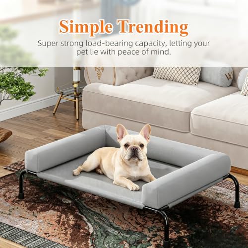 Elevated Dog Bed (Grey / 36.5"L x 23.5"W x 8"H)