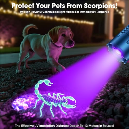 UV Flashlight (Blue)