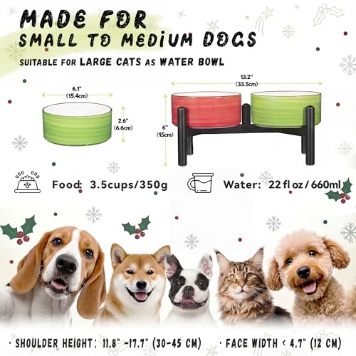 Ceramic Elevated Dog Bowl Set (Thread red+green / 3.5 Cups)