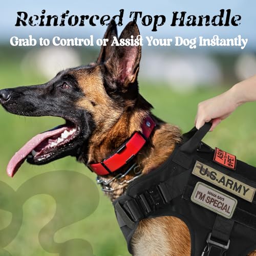 Tactical Dog Harness for Large (Black / Large)