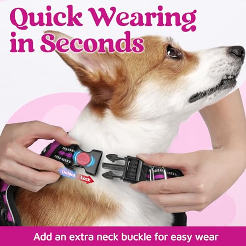 Dog Harness for Large (Purple / X-Large)