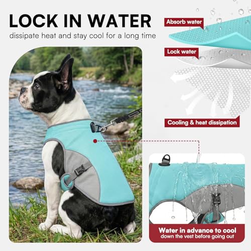 Dog Cooling Harness for Extra Large Dogs (Blue / XX-Large)