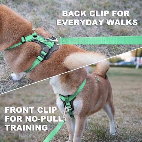 No Pull Dog Harness with Leather Accents (M / Teal)