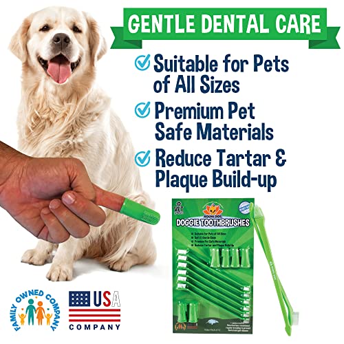 Toothbrush Combo Pack (1 Count (Pack of 12))