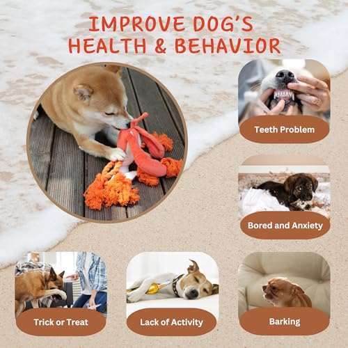 Large Squeaky Dog Toys (Regular Lobster)