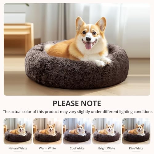 Calming Dog Bed for Small Dogs (Chocolate / 23.0"L x 23.0"W x 8.0"Th)