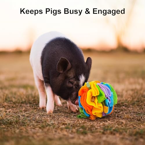 Pig Snuffle Mat and Snuffle Ball for Pigs