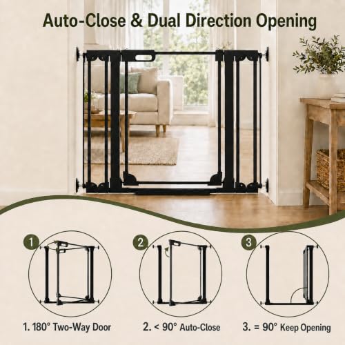 Clear Acrylic Baby Gate 29.52 (Black / 29.52-37.79"W)