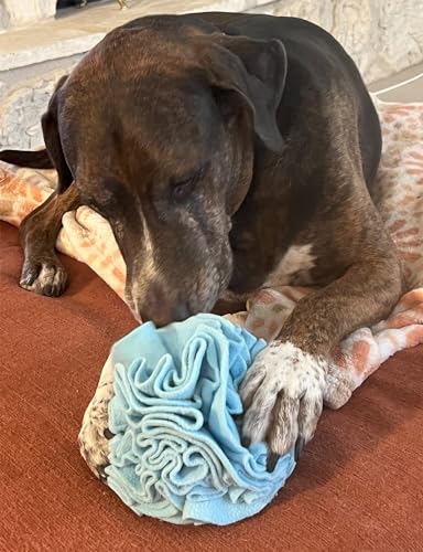 Medium Breed Snuffle Foraging Dog Puzzle Ball Toy Blue Large (Blue / Large)