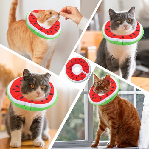 Cat Cone Collar Soft (Watermelon / Large)