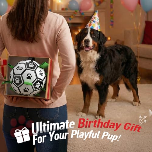 10 Inch Gaint Dog Soccer Ball with Straps (Black Green / 10 Inch)