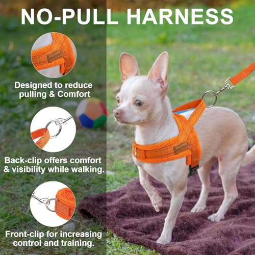 Small Dog Harness and Leash Set (Orange / XS: Chest 15"-18")