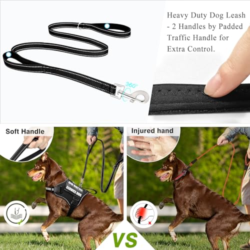 Service Dog Harness and Leash Set (Small / Black)