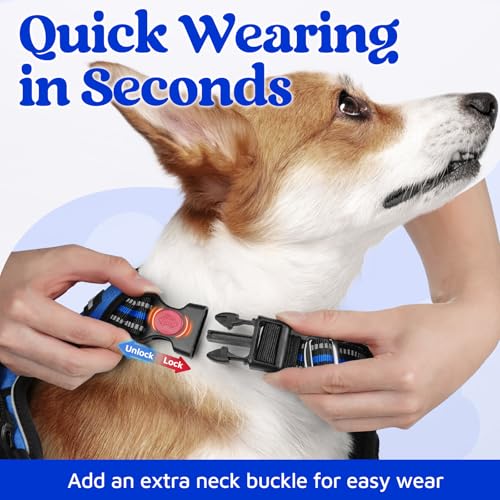 Dog Harness for Large (Royal Blue / Large)