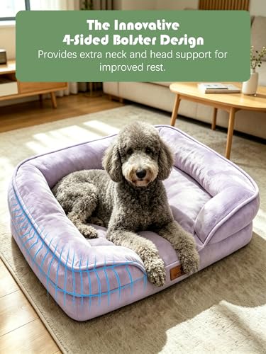 Orthopedic Dog Bed with Sides (38.0"L x 28.0"W x 6.5"Th / Purple)