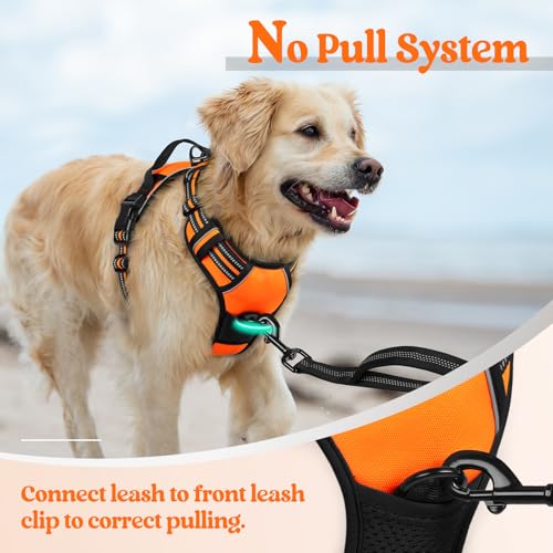 Dog Harness No Pull Medium Sized with 2 Leash Clips (Medium / Orange)