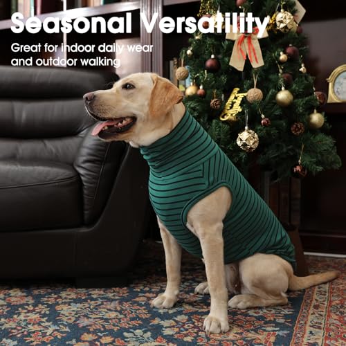 XXXL Dog Sweater (XXX-Large / Green Stripes)