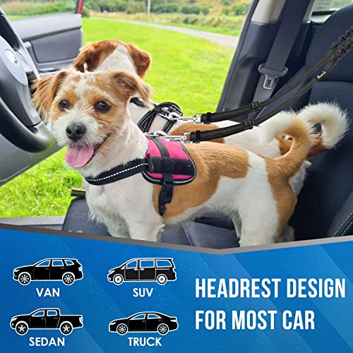 Double Dog Car Seat Belt (Black-Detachable)