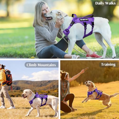 Escape Proof Dog Harness with Double Handle+4 Removable Patches (Large / Purple)